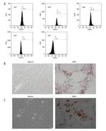 CD29 (Integrin beta 1) Antibody in Flow Cytometry (Flow)