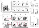 CD4 Antibody in Flow Cytometry (Flow)