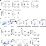 Ly-6G/Ly-6C Antibody in Flow Cytometry (Flow)