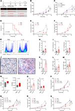 CD45RA Antibody in Flow Cytometry (Flow)