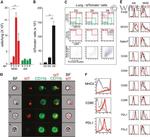 CD40 Antibody in Flow Cytometry (Flow)