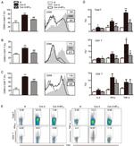 CD8a Antibody in Flow Cytometry (Flow)