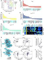 IL-17A Antibody in Flow Cytometry (Flow)