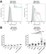 CD4 Antibody in Flow Cytometry (Flow)