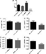 CD4 Antibody in Flow Cytometry (Flow)