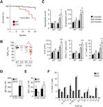 CD4 Antibody in Flow Cytometry (Flow)