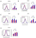 CD28 Antibody in Flow Cytometry (Flow)