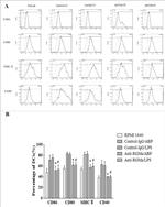 CD86 (B7-2) Antibody in Flow Cytometry (Flow)