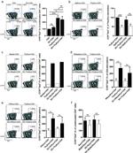 CD197 (CCR7) Antibody in Flow Cytometry (Flow)