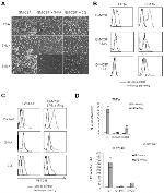 CD14 Antibody in Flow Cytometry (Flow)