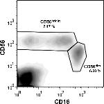 CD16 Antibody in Flow Cytometry (Flow)