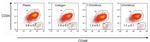 CD24 Antibody in Flow Cytometry (Flow)