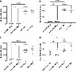 CD27 Antibody in Flow Cytometry (Flow)