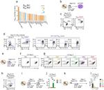 CD38 Antibody in Flow Cytometry (Flow)