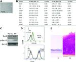 CD105 (Endoglin) Antibody in Flow Cytometry (Flow)