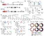 CD45RA Antibody in Flow Cytometry (Flow)