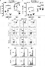 CD45 Antibody in Flow Cytometry (Flow)