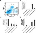 CD117 (c-Kit) Antibody in Flow Cytometry (Flow)