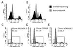 CD56 (NCAM) Antibody in Flow Cytometry (Flow)