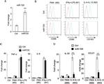 CD163 Antibody in Flow Cytometry (Flow)