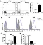 CD69 Antibody in Flow Cytometry (Flow)