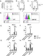 CD274 (PD-L1, B7-H1) Antibody in Flow Cytometry (Flow)