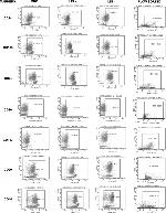 CD90 (Thy-1) Antibody in Flow Cytometry (Flow)