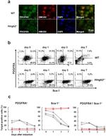 Ly-6A/E (Sca-1) Antibody in Flow Cytometry (Flow)