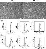 CD140a (PDGFRA) Antibody in Flow Cytometry (Flow)