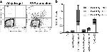 CD154 (CD40 Ligand) Antibody in Flow Cytometry (Flow)