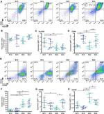 CD163 Antibody in Flow Cytometry (Flow)