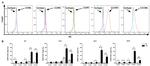 CD197 (CCR7) Antibody in Flow Cytometry (Flow)