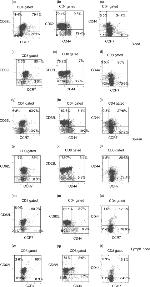 CD197 (CCR7) Antibody in Flow Cytometry (Flow)