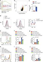 FOXP3 Antibody in Flow Cytometry (Flow)