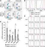 PAX5 Antibody in Flow Cytometry (Flow)