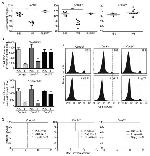 Ly-6G/Ly-6C Antibody in Flow Cytometry (Flow)