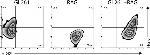 MHC Class I (H-2Kd) Antibody in Flow Cytometry (Flow)