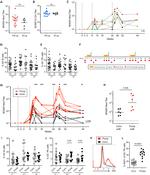 CD185 (CXCR5) Antibody in Flow Cytometry (Flow)