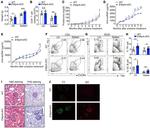 CD279 (PD-1) Antibody in Flow Cytometry (Flow)