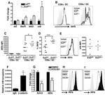 IRF4 Antibody in Flow Cytometry (Flow)