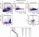 CD184 (CXCR4) Antibody in Flow Cytometry (Flow)