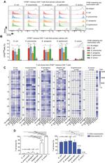 CD4 Antibody in Flow Cytometry (Flow)