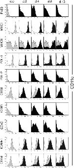 CD40 Antibody in Flow Cytometry (Flow)