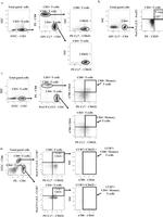 CD197 (CCR7) Antibody in Flow Cytometry (Flow)