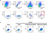 CD25 Antibody in Flow Cytometry (Flow)