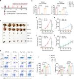 CD3e Antibody in Flow Cytometry (Flow)