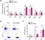 IL-17A Antibody in Flow Cytometry (Flow)