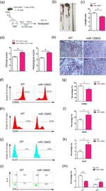 IL-4 Antibody in Flow Cytometry (Flow)