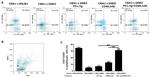 CD4 Antibody in Flow Cytometry (Flow)