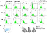 CD86 (B7-2) Antibody in Flow Cytometry (Flow)